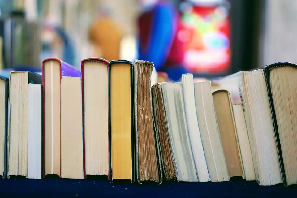 Row of books on a shelf