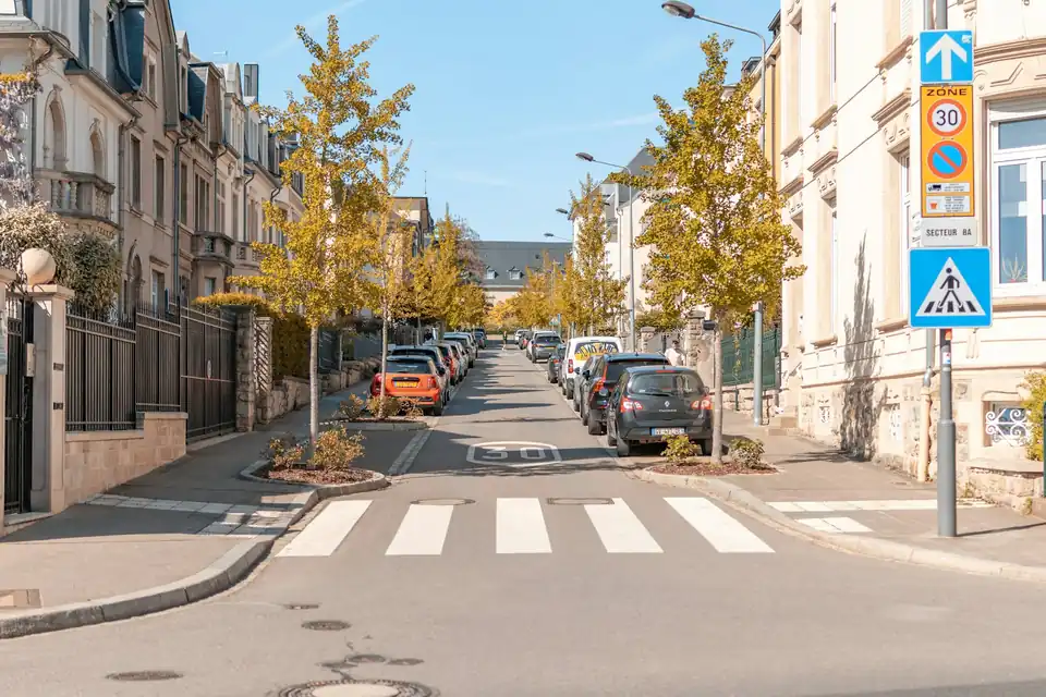 Tree-lined residential street with a pedestrian crossing, Luxembourg City