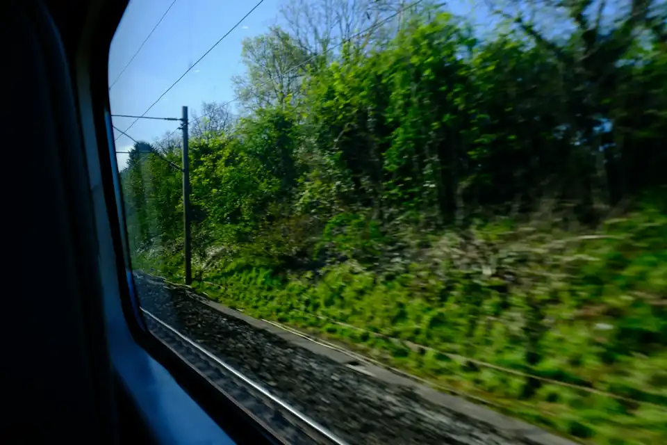 Green trees passing by a train window
